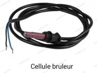 Cellule bruleur
